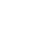white tick